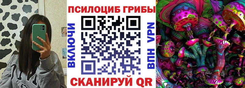 мега ссылки  Пудож  Галлюциногенные грибы Cubensis  где найти  