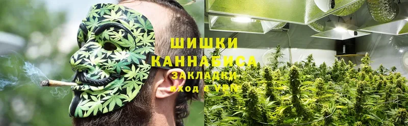 где можно купить   Пудож  Марихуана OG Kush 