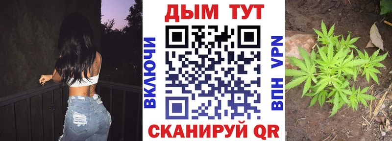 Бошки марихуана гибрид  Пудож 